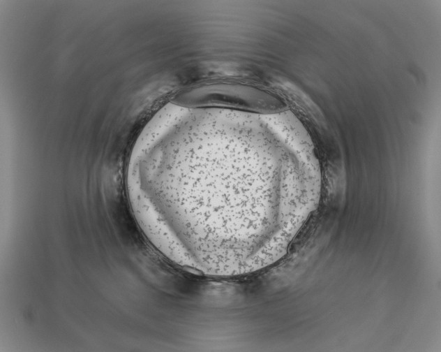 X0000113040376200909241439
