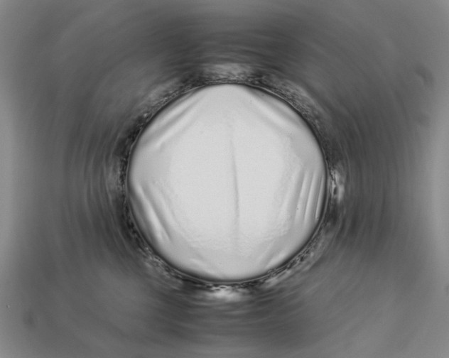 X0000113040377200909241439