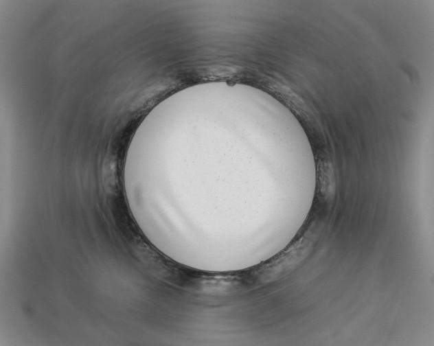 X0000113040378200909241439