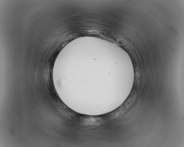 X0000113040379200909241439
