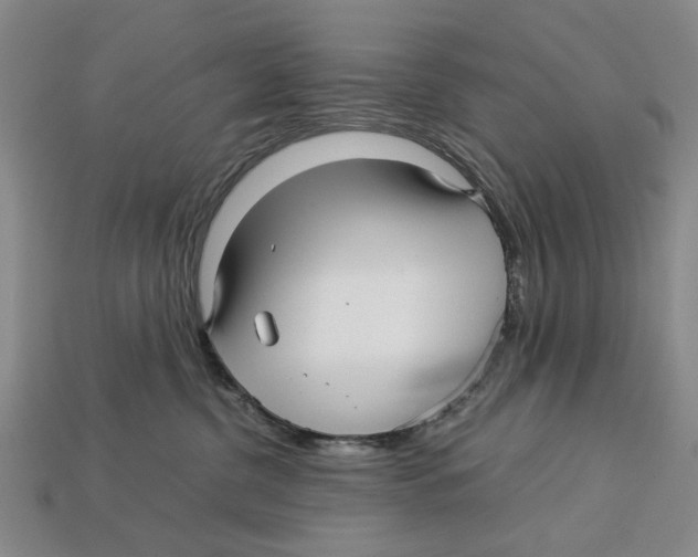 X0000113040380200909241439