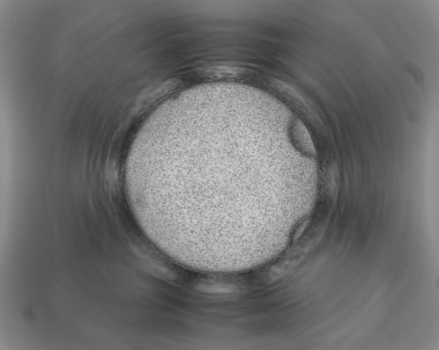 X0000113040381200909241439