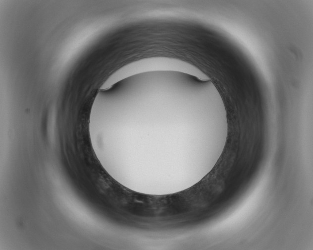 X0000113040382200909241439