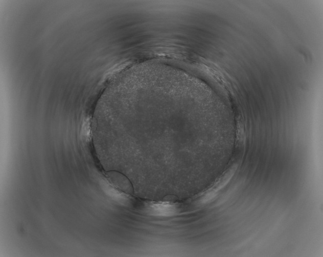 X0000113040383200909241439