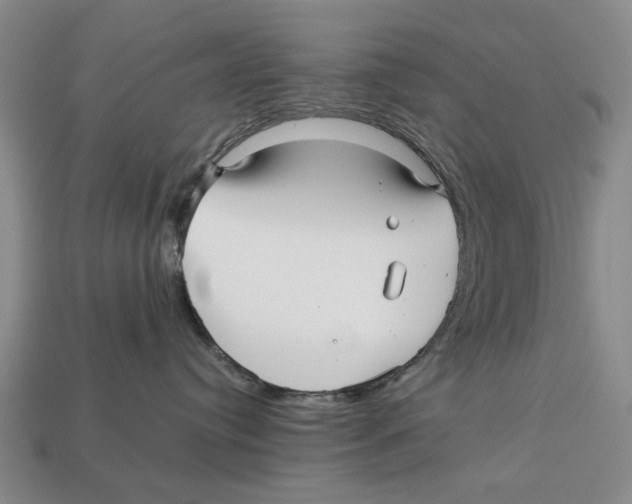 X0000113040384200909241439