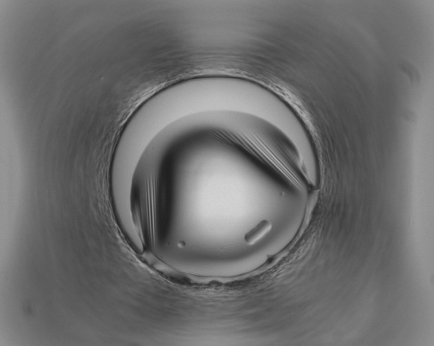X0000113040385200909241439