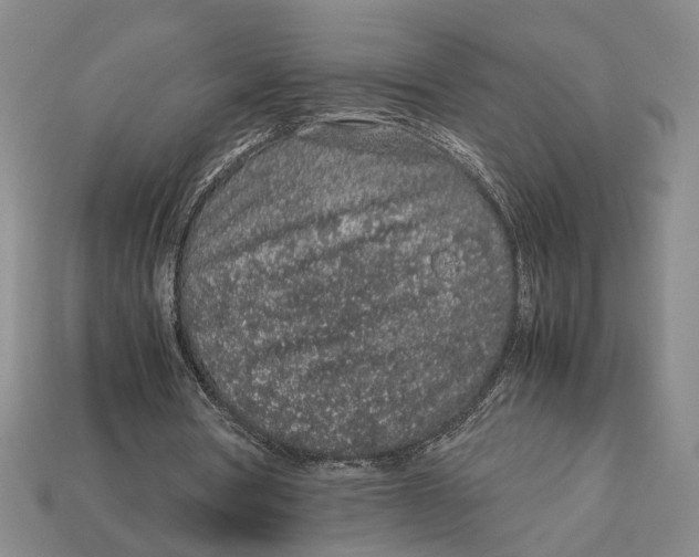 X0000113040386200909241439