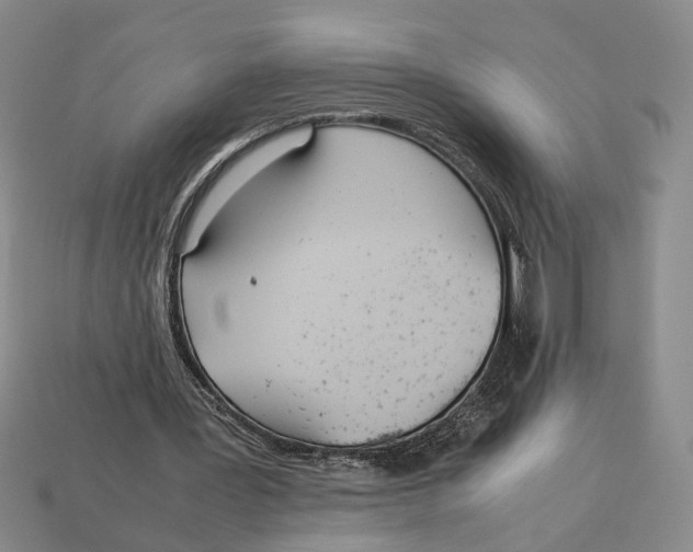 X0000113040387200909241439