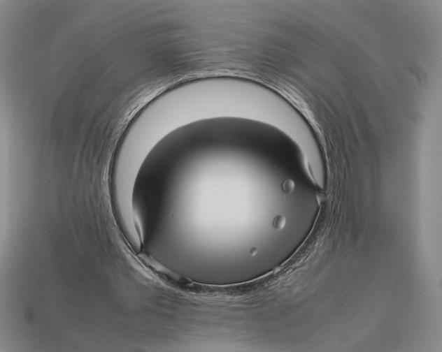X0000113040389200909241439