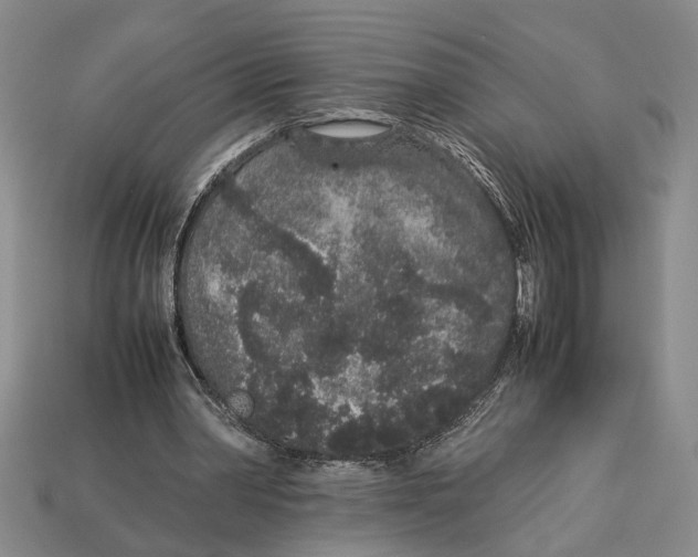X0000113040390200909241439