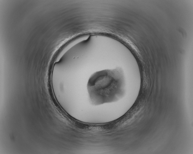 X0000113040391200909241439