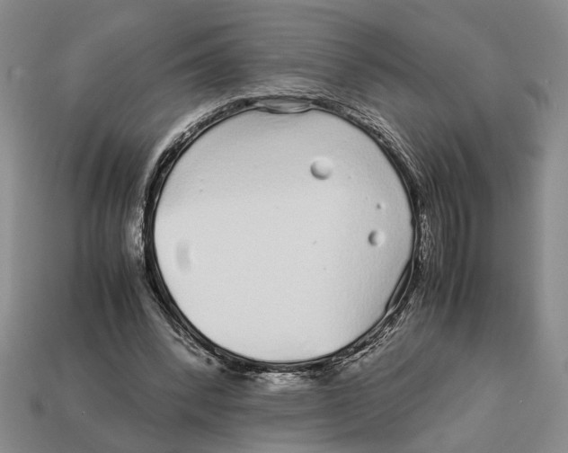 X0000113040392200909241439