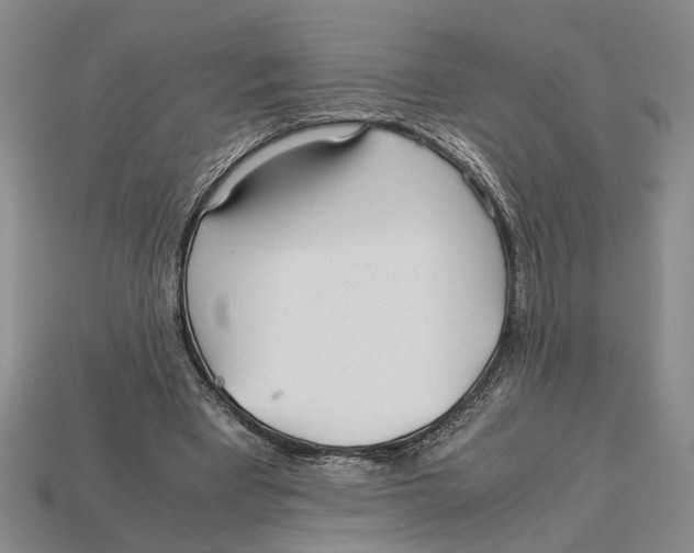 X0000113040393200909241439