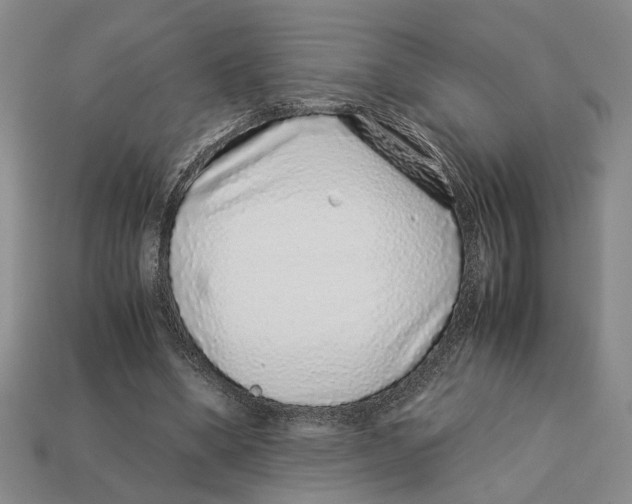 X0000113040394200909241439