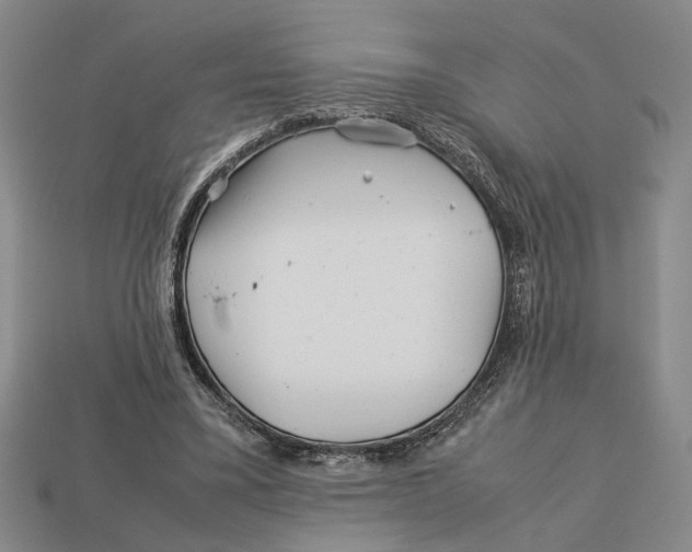 X0000113040395200909241439