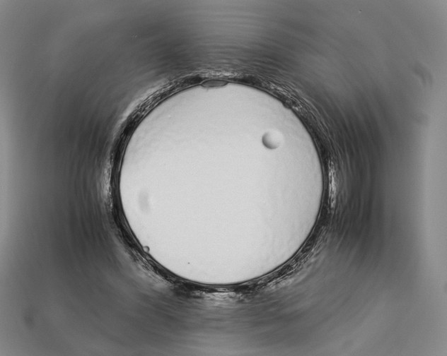 X0000113040396200909241439