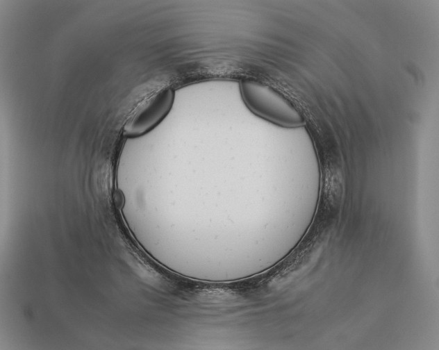 X0000113040397200909241439