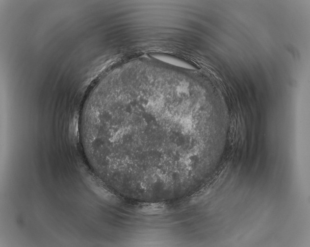 X0000113040398200909241439