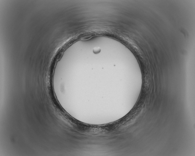 X0000113040399200909241439