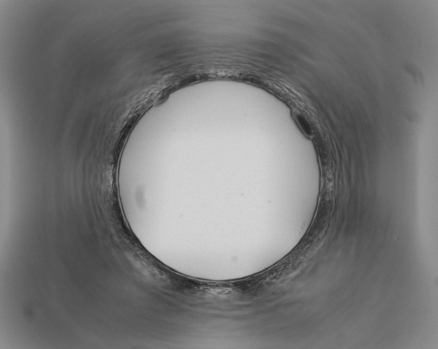 X0000113040401200909241439
