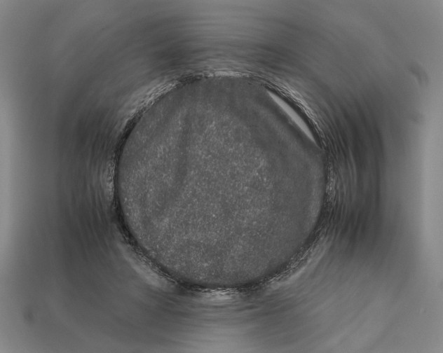 X0000113040402200909241439