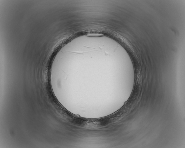 X0000113040403200909241439