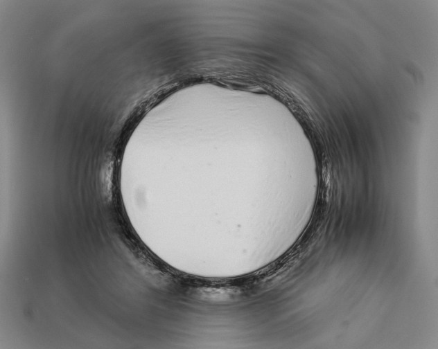 X0000113040404200909241439
