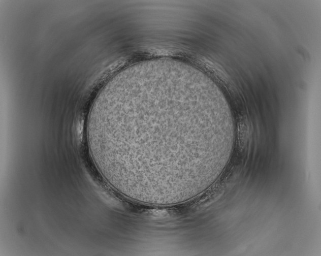X0000113040406200909241439