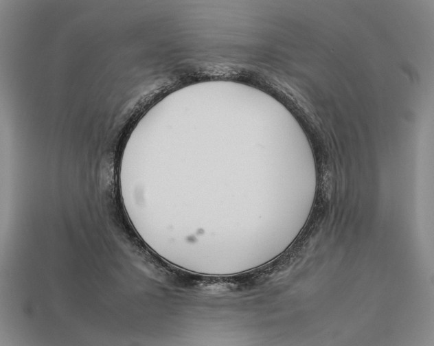 X0000113040407200909241439