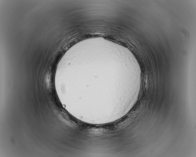 X0000113040408200909241439
