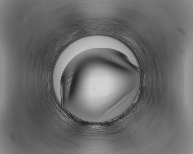 X0000113040409200909241438