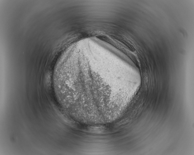 X0000113040410200909241438