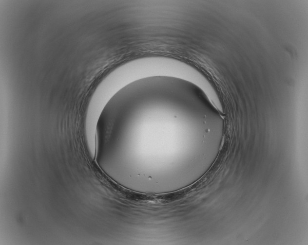X0000113040411200909241438