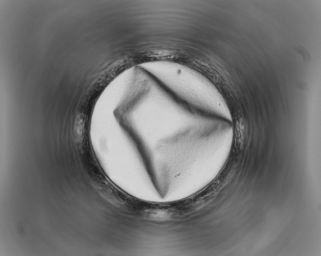 X0000113040412200909241438