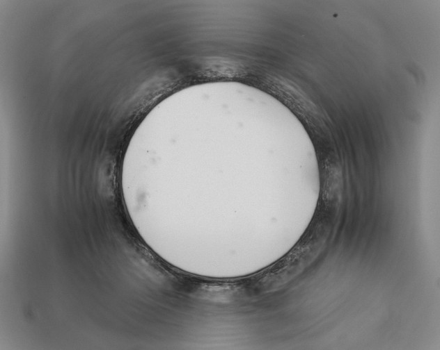 X0000113040414200909241438