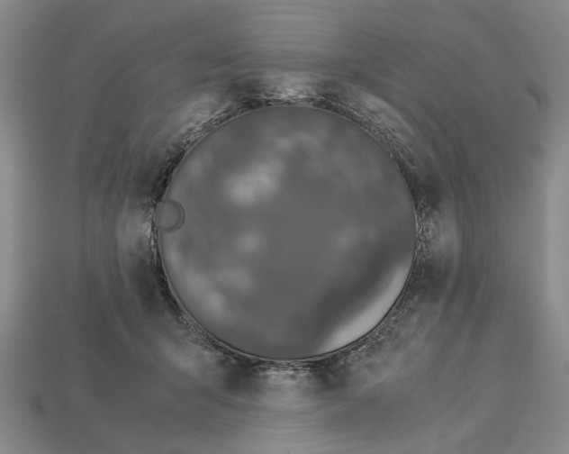 X0000113040415200909241438
