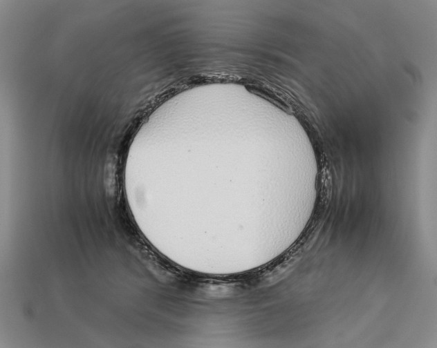 X0000113040416200909241438