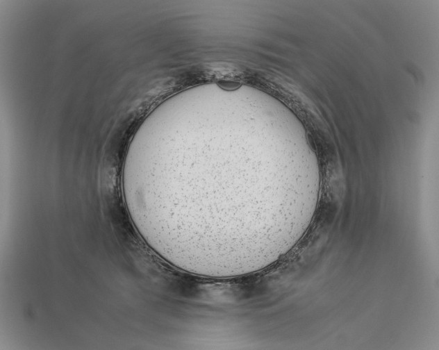 X0000113040417200909241438
