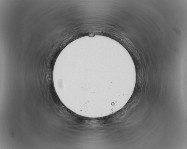 X0000113040419200909241438