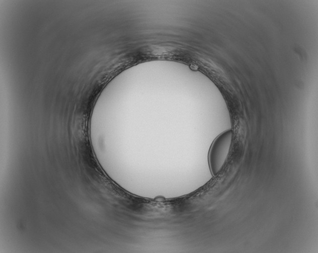 X0000113040421200909241438
