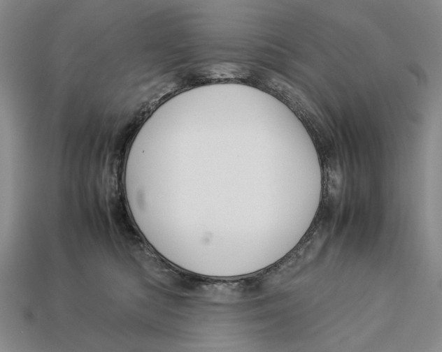 X0000113040422200909241438