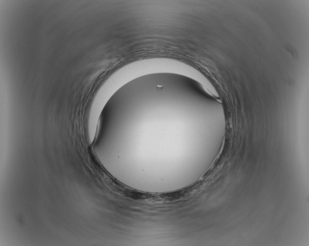 X0000113040423200909241438