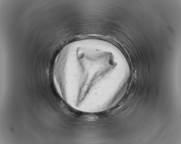X0000113040424200909241438