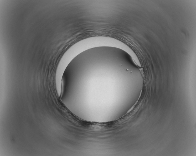 X0000113040425200909241438