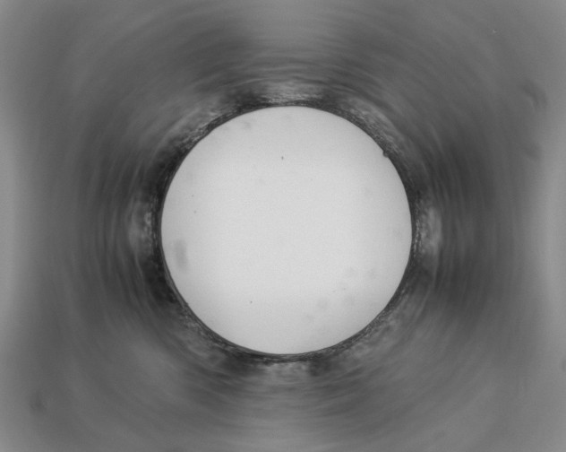 X0000113040426200909241438