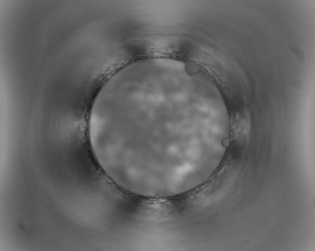 X0000113040427200909241438