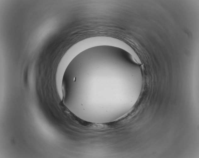 X0000113040429200909241438