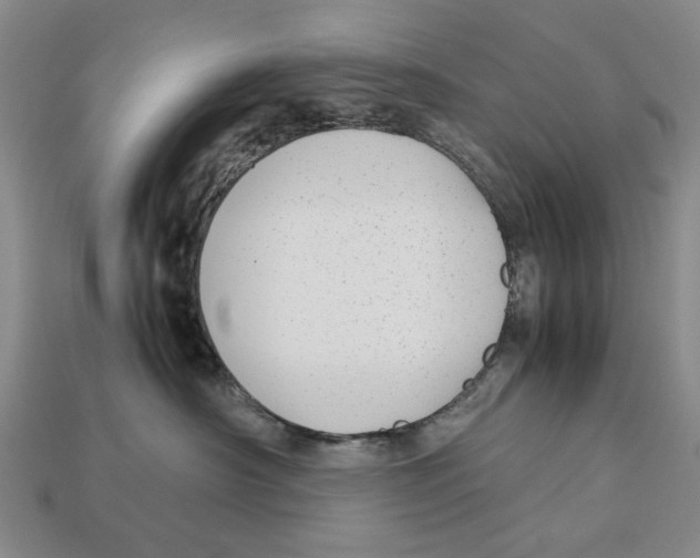 X0000113040430200909241438
