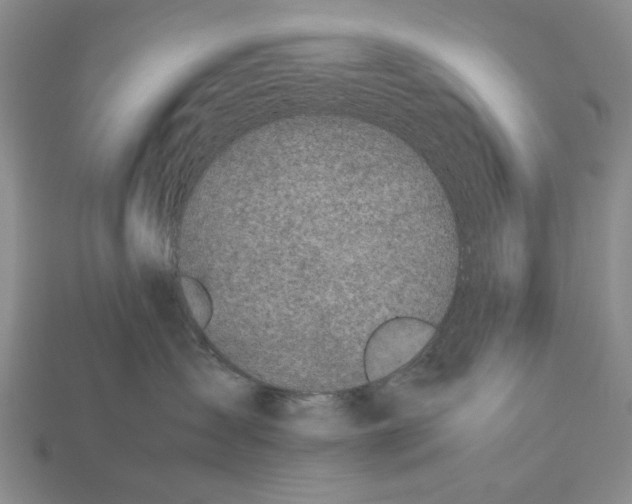 X0000113040431200909241438
