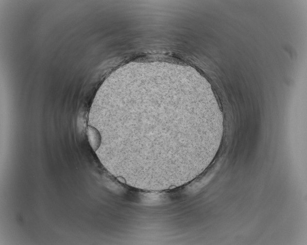 X0000113040432200909241438